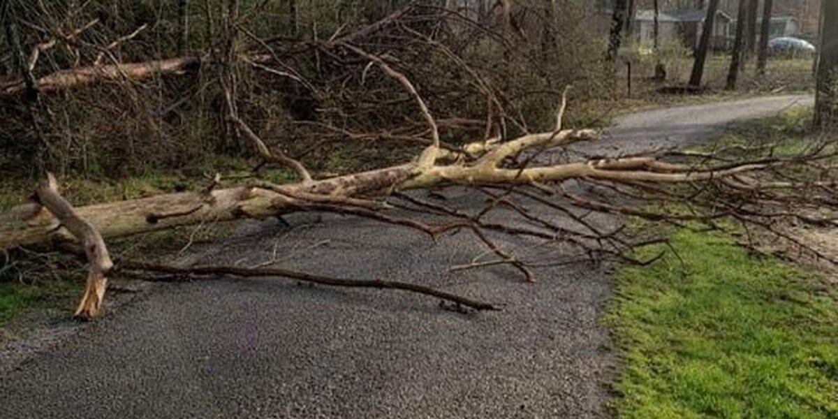 Crossville Walmart closes after severe storms cause power outages