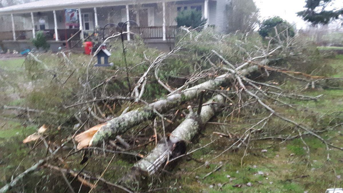 (Photo via Jerry Mcanally of Crossville)
