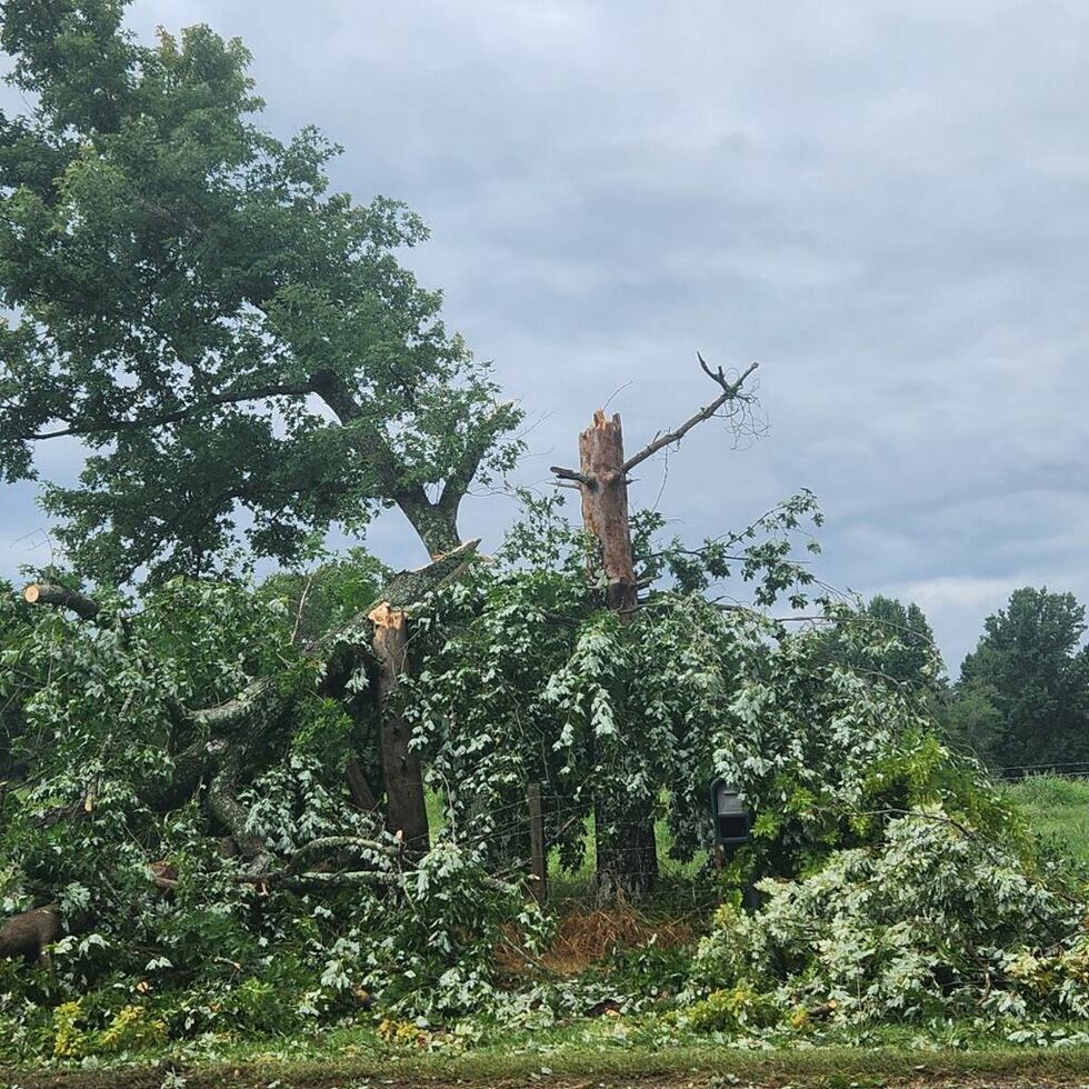 Severe storm damage across East Tennessee