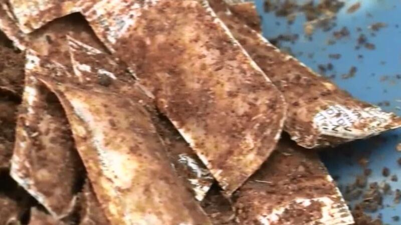 The USDA is working to mass produce and distribute an anti-rabies vaccine to raccoons across...