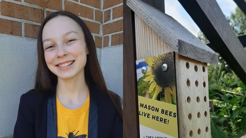 A Maryville College student’s nonprofit organization has won $10,000 to continue its efforts...
