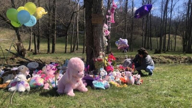 Community members in Blountville arranged a vigil in honor of Evelyn Boswell. / (WVLT)