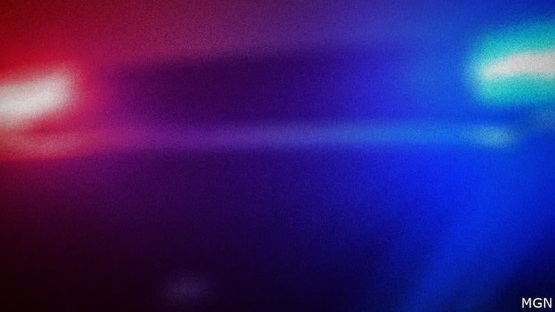 Police in Georgia said three high school students were among four killed in a rollover crash...
