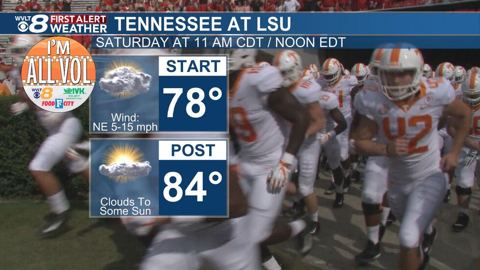 I'm All Vol Forecast