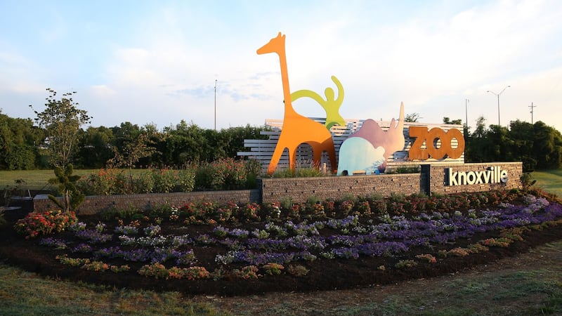 Zoo Knoxville released a statement in support of the Black Lives Matter Movement.
