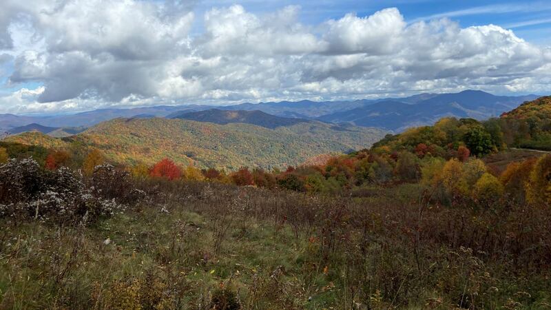 Great Smoky Mountains National Park bans campfires due to high fire danger