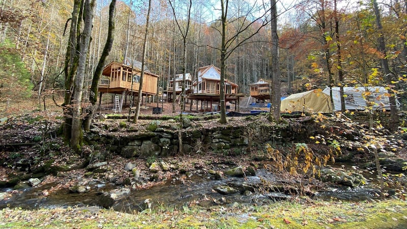 Eight treehouses being built by Pete Norton in Gatlinburg / Source: (Norton Resorts)